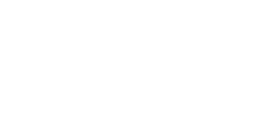 Tornando-se uma líder no mercado, atuando no porto há mais de duas décadas realizando os serviços em navios de grande porte bem como em embarcações de médio e pequeno porte. Fortalecida pela filosofia de profissionalismo e impondo comprometimento e rapidez na execução, a empresa resistiu com garra e empenho aos obstáculo e à crise no setor. A partir de então obteve um crescimento considerável no segmento marítimo, firmando um nome respeitado no mercado Nacional o que possibilitou parceria com grandes empresas do ramo Marítimo, como: